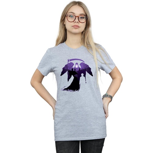 Abbigliamento Donna T-shirts a maniche lunghe Harry Potter Graveyard Silhouette Grigio