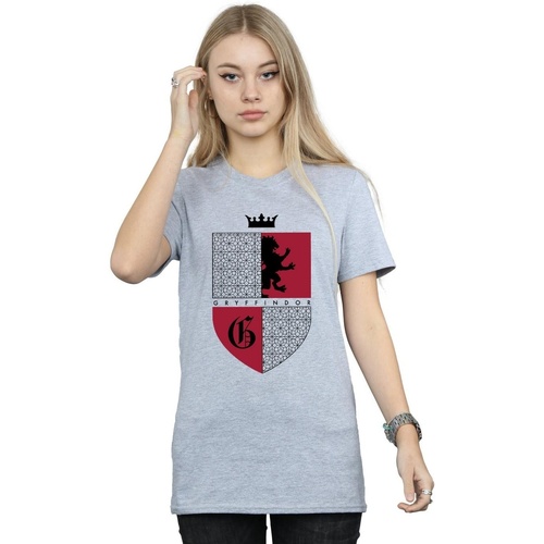 Abbigliamento Donna T-shirts a maniche lunghe Harry Potter Gryffindor Shield Grigio