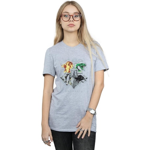 Abbigliamento Donna T-shirts a maniche lunghe Harry Potter Hogwarts Painted Crest Grigio