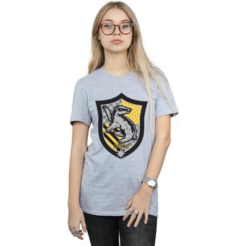 Abbigliamento Donna T-shirts a maniche lunghe Harry Potter Hufflepuff Crest Flat Grigio
