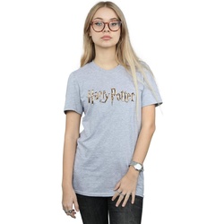 Abbigliamento Donna T-shirts a maniche lunghe Harry Potter Full Colour Logo Grigio