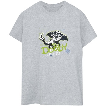 Abbigliamento Donna T-shirts a maniche lunghe Harry Potter Dobby A Free Elf Grigio