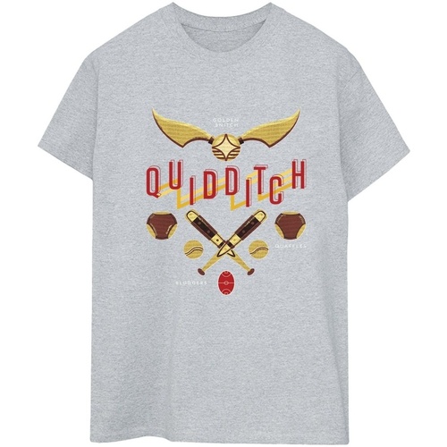Abbigliamento Donna T-shirts a maniche lunghe Harry Potter Quidditch Golden Snitch Grigio