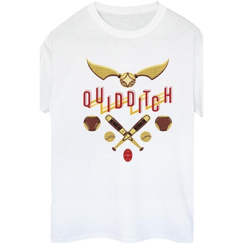 Abbigliamento Donna T-shirts a maniche lunghe Harry Potter Quidditch Golden Snitch Bianco