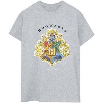 Abbigliamento Donna T-shirts a maniche lunghe Harry Potter Hogwarts School Emblem Grigio