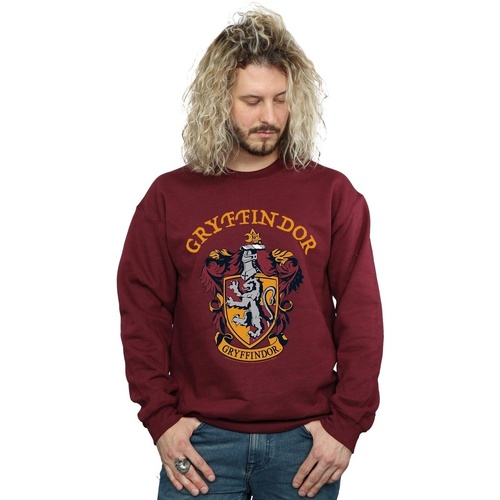Abbigliamento Uomo Felpe Harry Potter Gryffindor Crest Multicolore