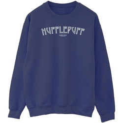 Abbigliamento Uomo Felpe Harry Potter Hufflepuff Logo Blu