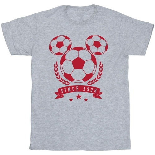 Abbigliamento Bambino T-shirt maniche corte Disney  Grigio