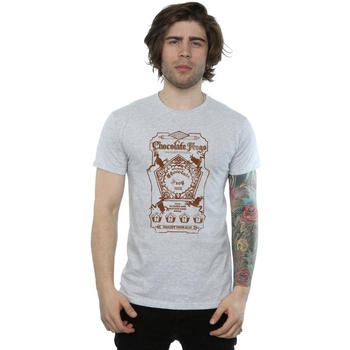 Abbigliamento Uomo T-shirts a maniche lunghe Harry Potter Chocolate Frogs Mono Label Grigio