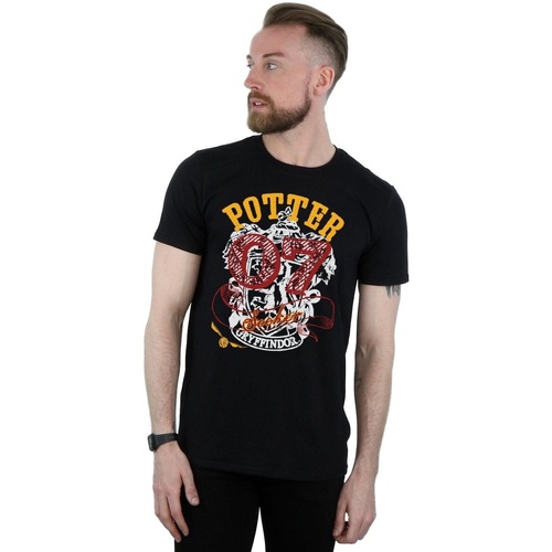 Abbigliamento Uomo T-shirts a maniche lunghe Harry Potter Gryffindor Seeker Nero