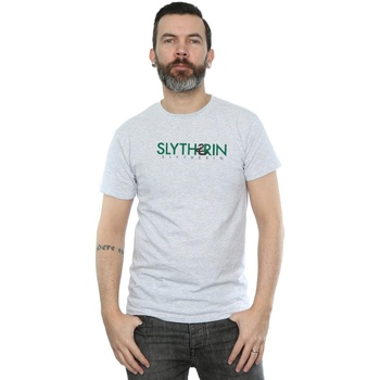 Abbigliamento Uomo T-shirts a maniche lunghe Harry Potter Slytherin Text Grigio