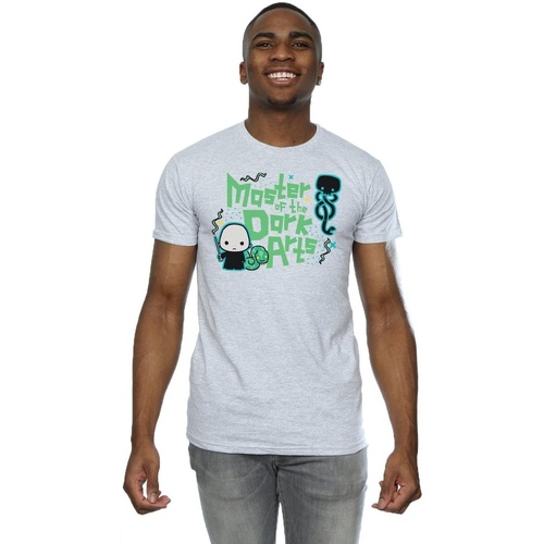 Abbigliamento Uomo T-shirts a maniche lunghe Harry Potter Voldemort Dark Arts Junior Grigio