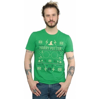 Abbigliamento Uomo T-shirts a maniche lunghe Harry Potter Christmas Pattern Verde
