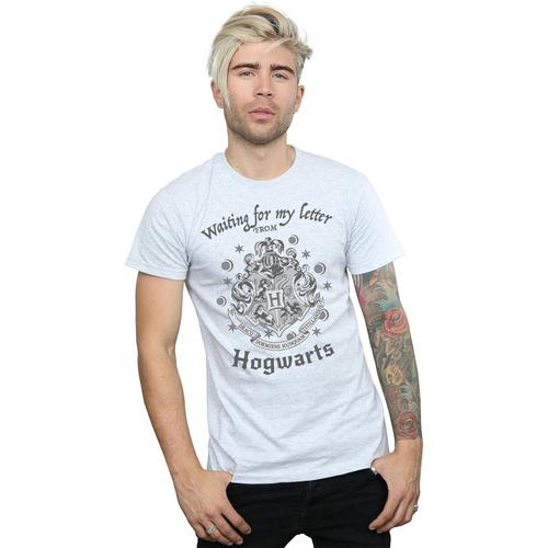 Abbigliamento Uomo T-shirts a maniche lunghe Harry Potter Hogwarts Waiting For My Letter Grigio