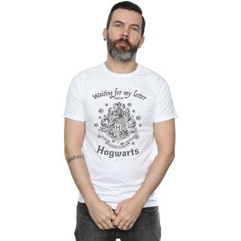 Abbigliamento Uomo T-shirts a maniche lunghe Harry Potter Hogwarts Waiting For My Letter Bianco
