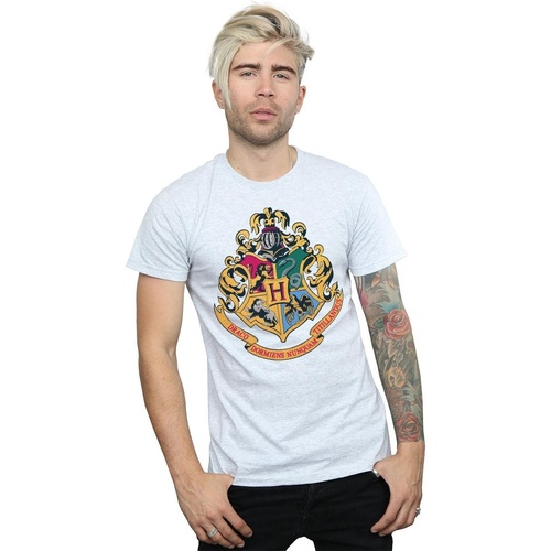 Abbigliamento Uomo T-shirts a maniche lunghe Harry Potter Hogwarts Crest Gold Ink Grigio