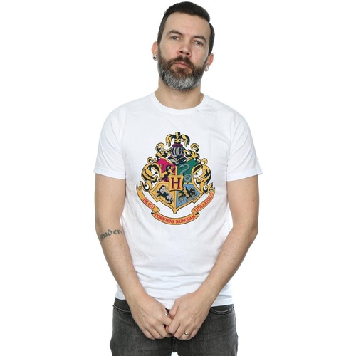 Abbigliamento Uomo T-shirts a maniche lunghe Harry Potter Hogwarts Crest Gold Ink Bianco