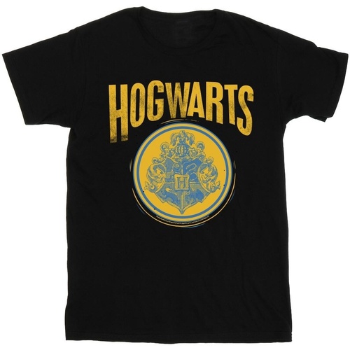 Abbigliamento Uomo T-shirts a maniche lunghe Harry Potter Hogwarts Circle Crest Nero