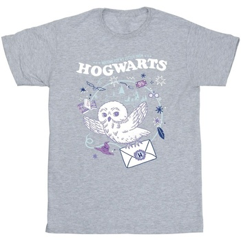 Abbigliamento Uomo T-shirts a maniche lunghe Harry Potter Owl Letter From Hogwarts Grigio