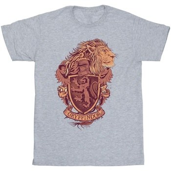 Abbigliamento Uomo T-shirts a maniche lunghe Harry Potter Gryffindor Sketch Crest Grigio
