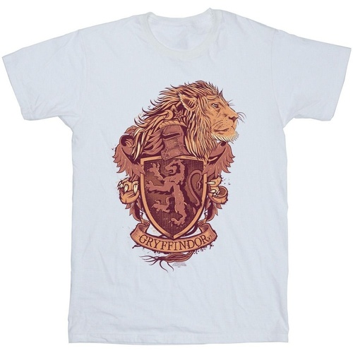 Abbigliamento Uomo T-shirts a maniche lunghe Harry Potter Gryffindor Sketch Crest Bianco