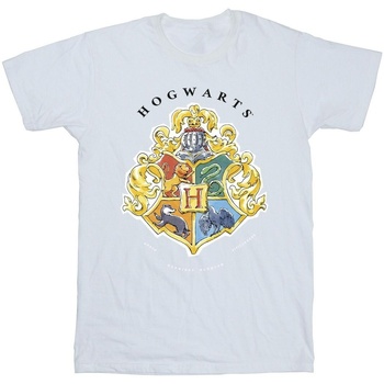 Abbigliamento Uomo T-shirts a maniche lunghe Harry Potter Hogwarts School Emblem Bianco