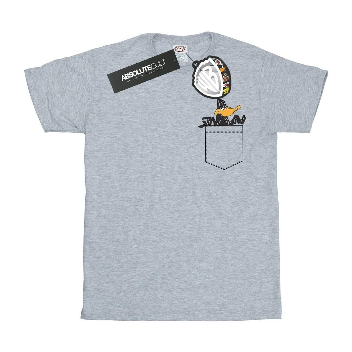 Abbigliamento Donna T-shirts a maniche lunghe Dessins Animés Daffy Duck Faux Pocket Grigio