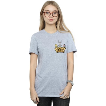 Abbigliamento Donna T-shirts a maniche lunghe Dessins Animés Group Faux Pocket Grigio