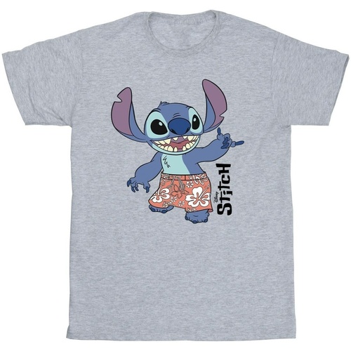 Abbigliamento Uomo T-shirt maniche corte Disney Lilo & Stitch Bermuda Shorts Grigio