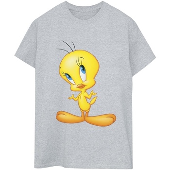 Abbigliamento Donna T-shirts a maniche lunghe Dessins Animés Tweety Standing Grigio
