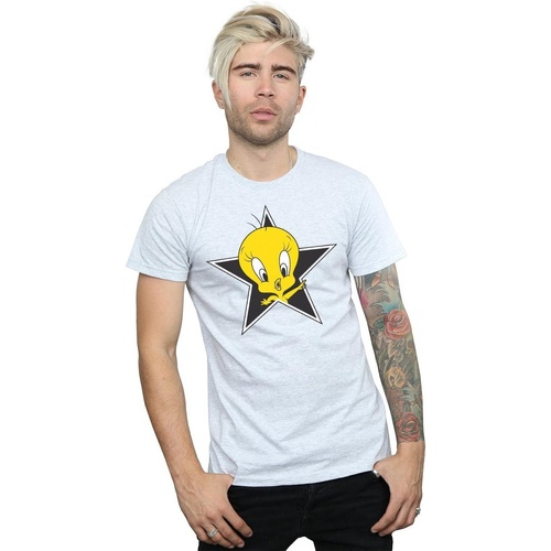 Abbigliamento Uomo T-shirts a maniche lunghe Dessins Animés Tweety Pie Star Grigio
