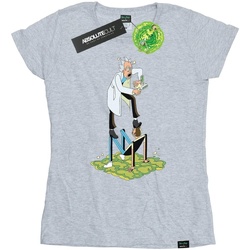 Abbigliamento Donna T-shirts a maniche lunghe Rick And Morty Stylised Characters Grigio