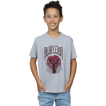 Abbigliamento Bambino T-shirt maniche corte Disney Rebels Rebellion Grigio