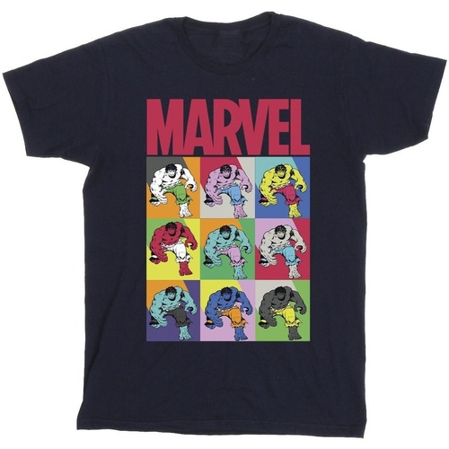 Abbigliamento Uomo T-shirts a maniche lunghe Marvel Hulk Pop Art Blu