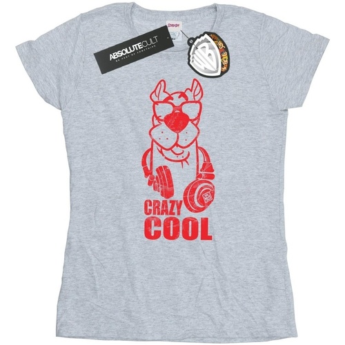 Abbigliamento Donna T-shirts a maniche lunghe Scooby Doo Crazy Cool Grigio