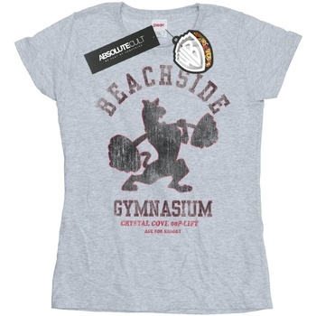 Abbigliamento Donna T-shirts a maniche lunghe Scooby Doo Beachside Gymnasium Grigio