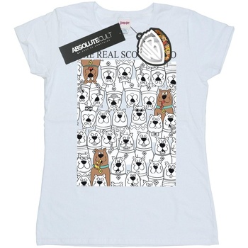 Abbigliamento Donna T-shirts a maniche lunghe Scooby Doo The Real Bianco
