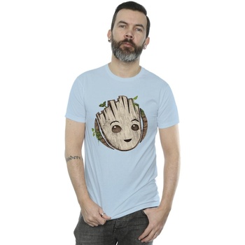 Abbigliamento Uomo T-shirts a maniche lunghe Marvel I Am Groot Wooden Head Blu