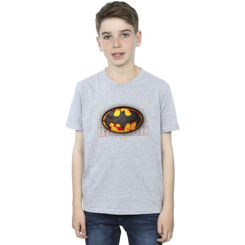 Abbigliamento Bambino T-shirt maniche corte Dc Comics The Flash Batman Red Splatter Grigio