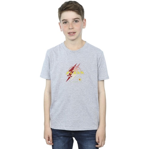 Abbigliamento Bambino T-shirt maniche corte Dc Comics The Flash Lightning Logo Grigio