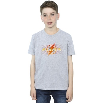 Abbigliamento Bambino T-shirt maniche corte Dc Comics The Flash Red Lightning Grigio