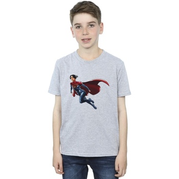 Abbigliamento Bambino T-shirt maniche corte Dc Comics The Flash Supergirl Grigio