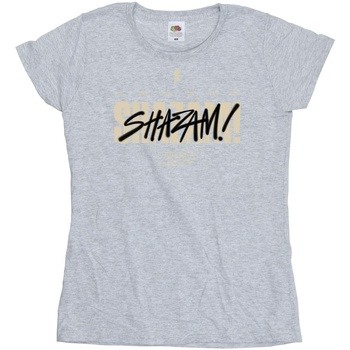 Abbigliamento Donna T-shirts a maniche lunghe Dc Comics Shazam Fury Of The Gods Vandalised Logo Grigio