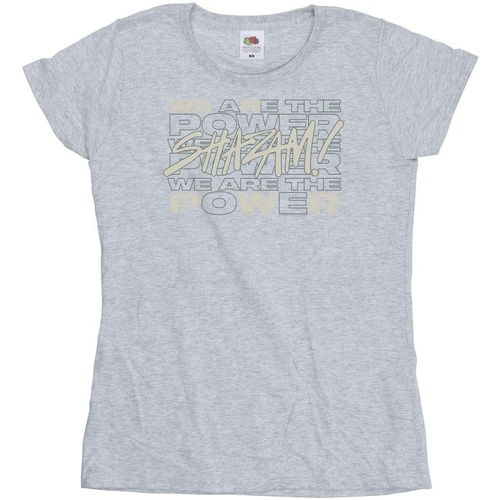 Abbigliamento Donna T-shirts a maniche lunghe Dc Comics Shazam Fury Of The Gods We Are The Power Grigio