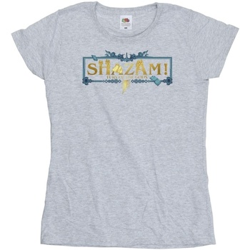 Abbigliamento Donna T-shirts a maniche lunghe Dc Comics Shazam Fury Of The Gods Golden Logo Grigio
