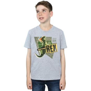 Abbigliamento Bambino T-shirt maniche corte Disney Toy Story Partysaurus Rex Grigio