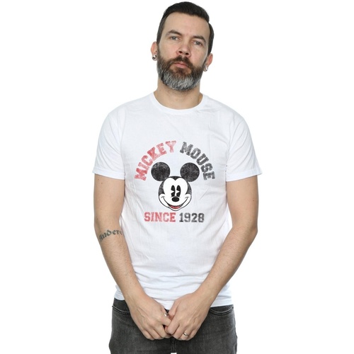 Abbigliamento Uomo T-shirts a maniche lunghe Disney Minnie Mouse Since 1928 Bianco