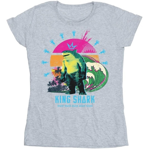Abbigliamento Donna T-shirts a maniche lunghe Dc Comics The Suicide Squad King Shark Grigio