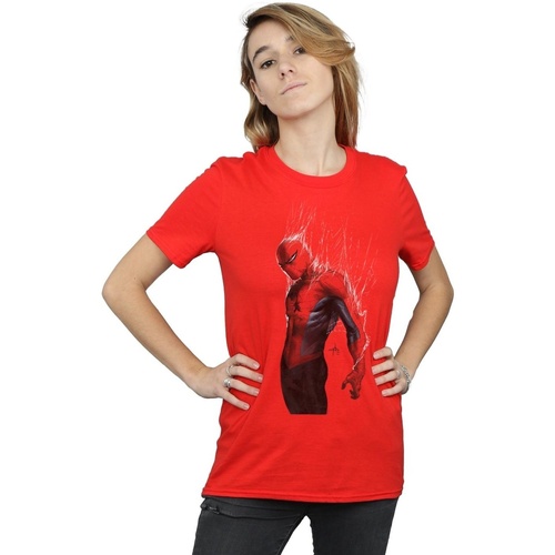 Abbigliamento Donna T-shirts a maniche lunghe Marvel Spider-Man Web Wrap Rosso