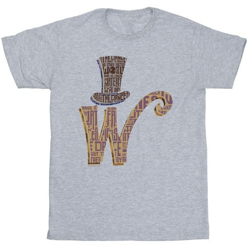 Abbigliamento Bambino T-shirt maniche corte Willy Wonka W Logo Hat Grigio